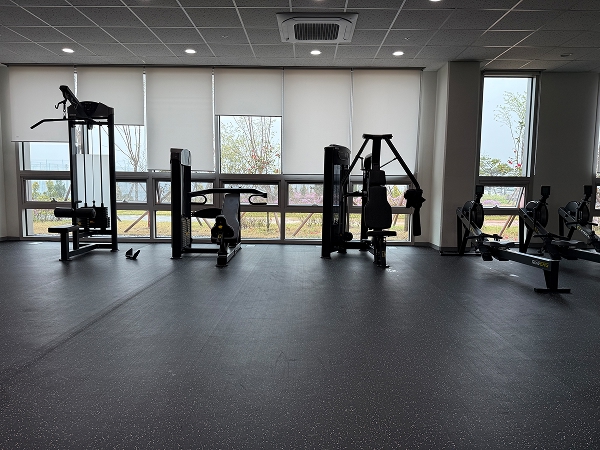 gym5-4